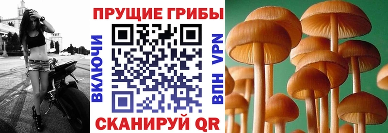 Галлюциногенные грибы ЛСД  купить   МЕГА ТОР  Уссурийск 