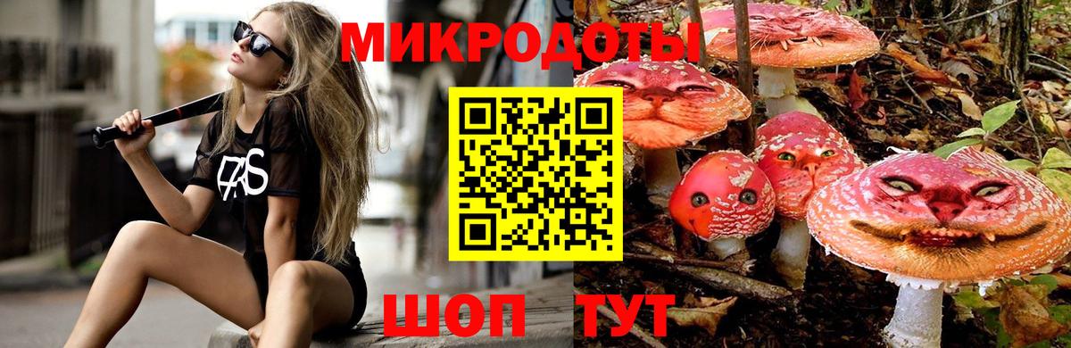 Уссурийск  Псилоцибиновые грибы Psilocybe  Вход с VPN 
